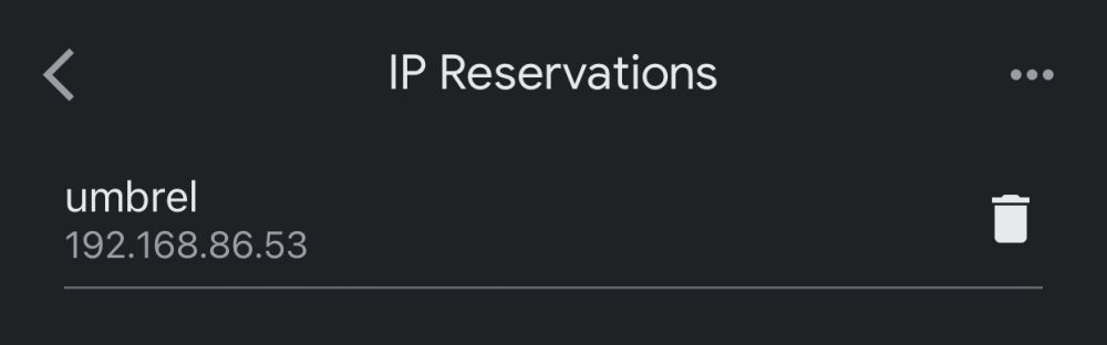 Example of the Reserved IP settings screen on the Google Home app.